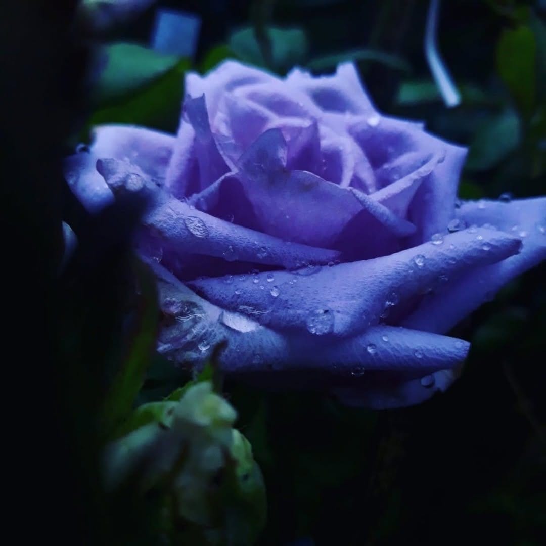 Post 7 by 𝒮𝓀𝒾𝓃 𝒷𝓎 𝒮𝒾𝓂𝑜𝓃𝒶 on Instagram (image)
