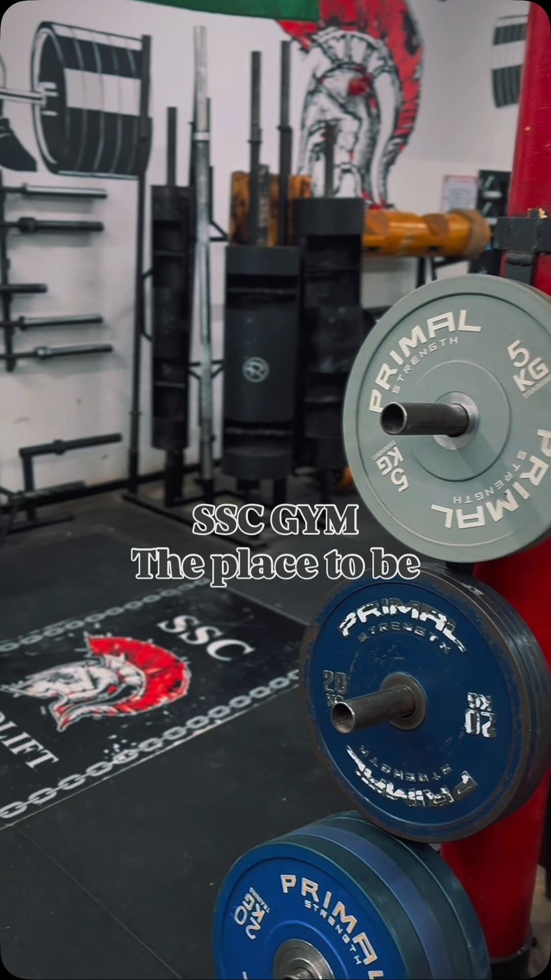 Post 3 by Seddon’s Strength & Conditioning Gym on Instagram (video)