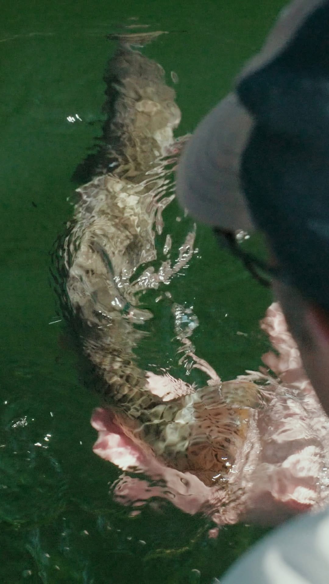 Post 2 by ECHO Fly Rods & Reels on Instagram (video)
