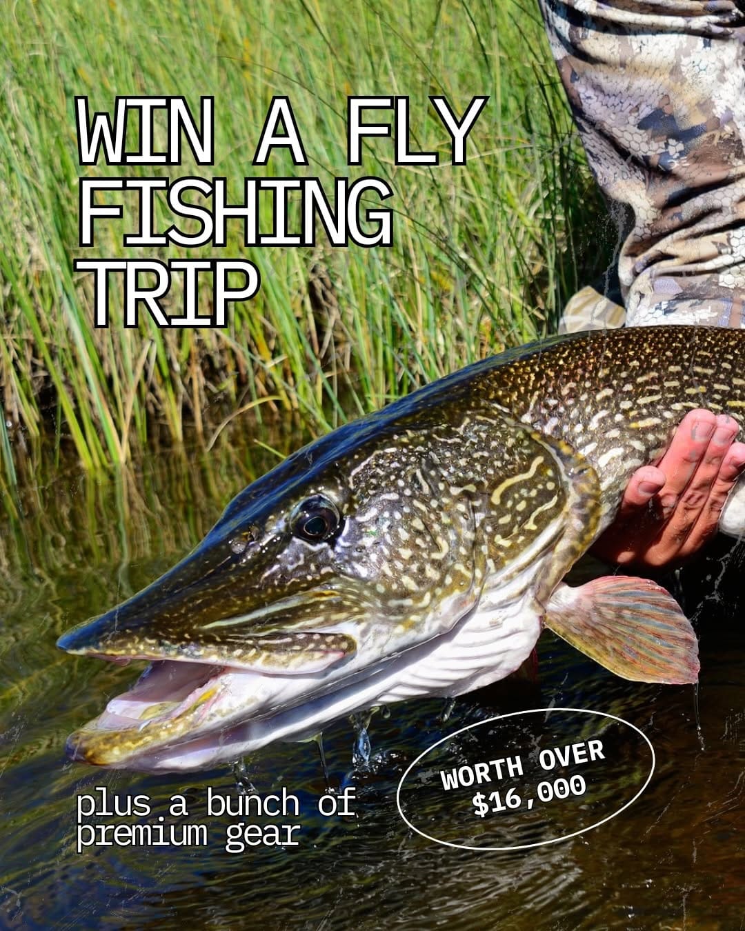 Post 4 by ECHO Fly Rods & Reels on Instagram (carousel)