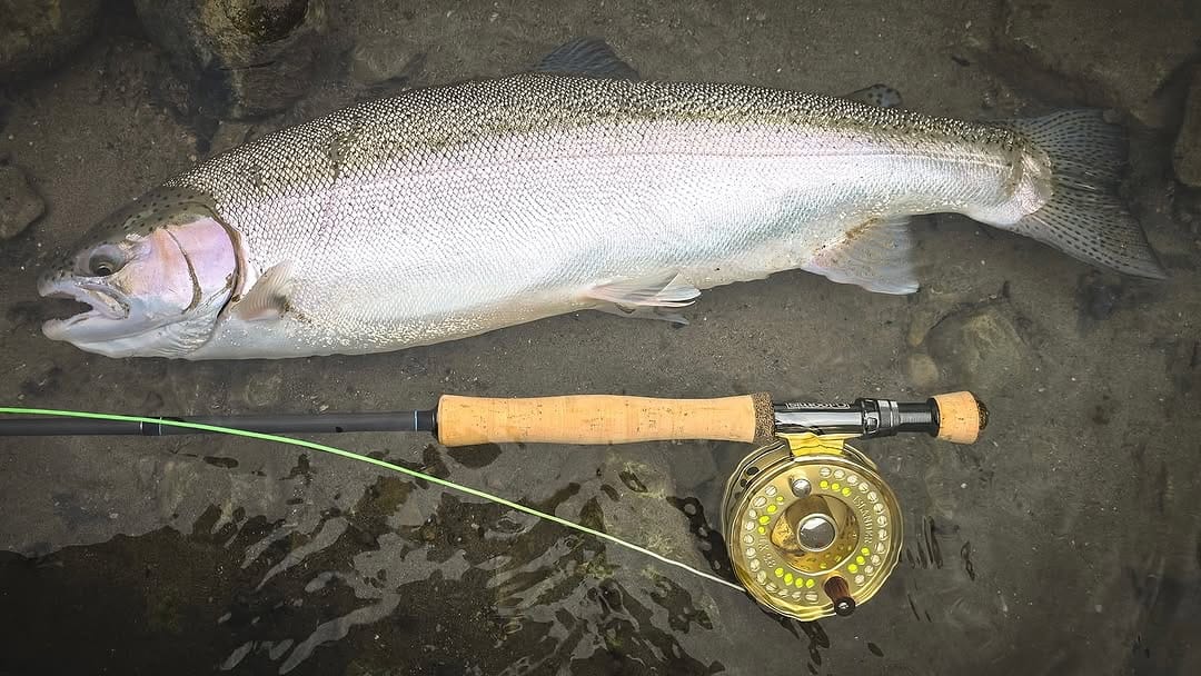 Post 10 by Islander Precision Reels on Instagram (image)