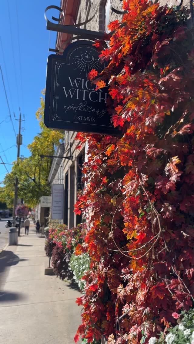 Post 5 by W I C K   W I T C H on Instagram (video)