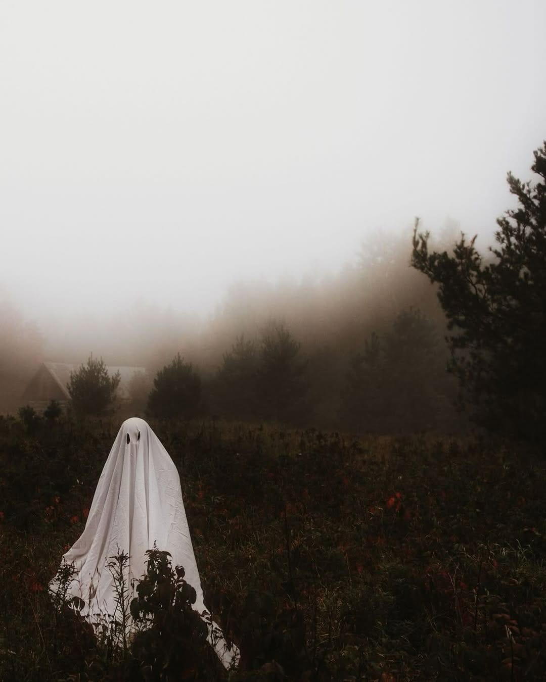 Post 3 by W I C K   W I T C H on Instagram (image)
