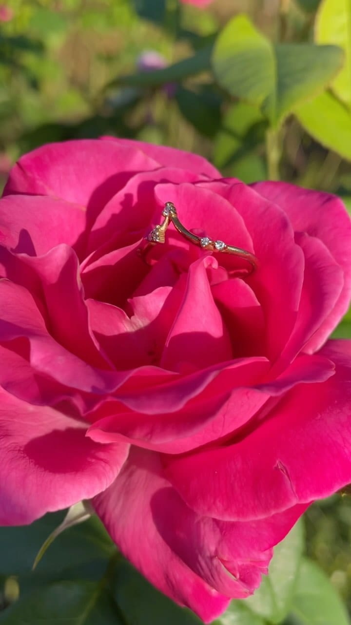 Post 5 by Lee Fiori on Instagram (video)