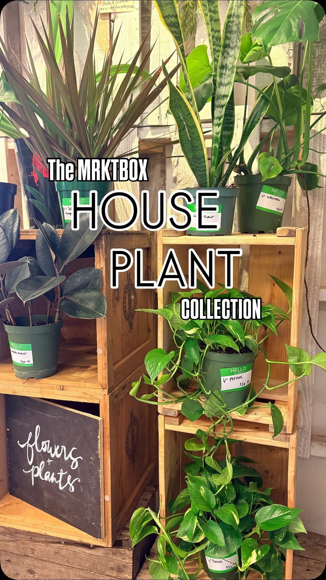 Post 1 by Mrktbox- Local Foods & Home Delivery on Instagram (video)