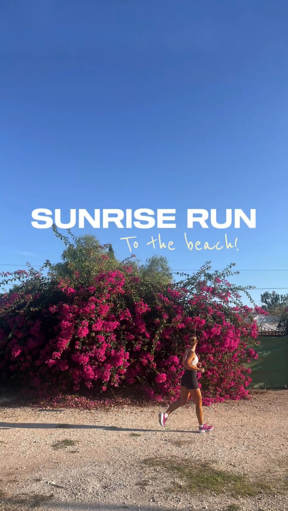Post 7 by MIA & EVIE on Instagram (video)