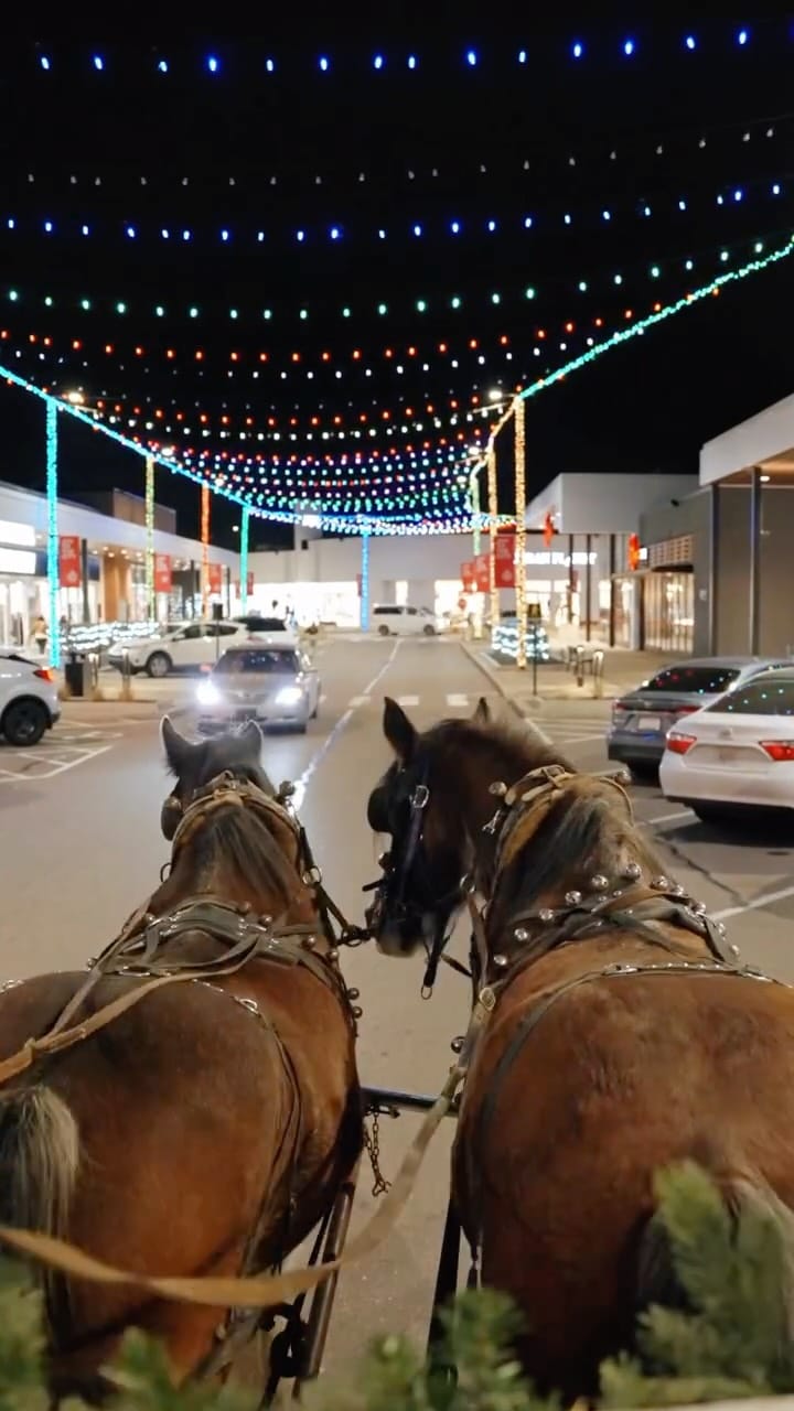 Post 7 by Deerfoot City on Instagram (video)