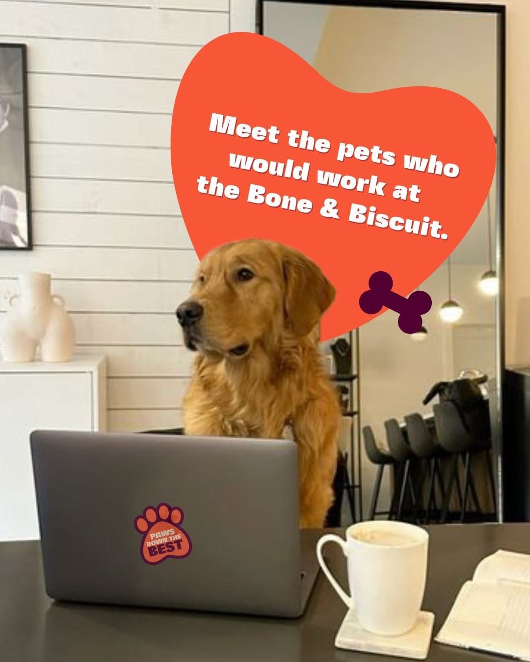 Post 4 by Bone & Biscuit | Pet Store on Instagram (carousel)