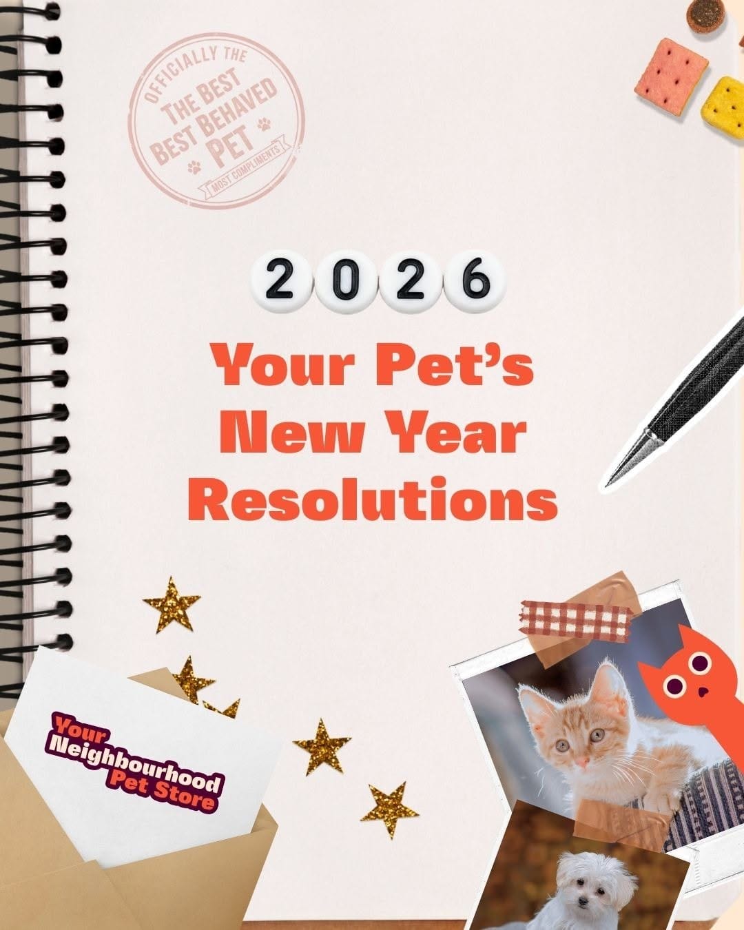 Post 8 by Bone & Biscuit | Pet Store on Instagram (carousel)