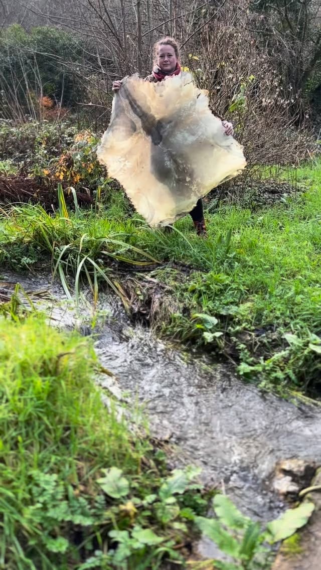 Post 1 by Trudi Holden ▽ Wild Samsara on Instagram (video)