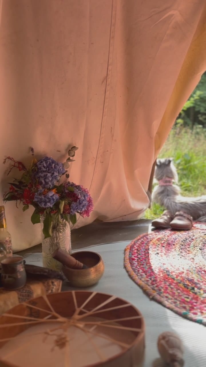 Post 10 by Trudi Holden ▽ Wild Samsara on Instagram (video)