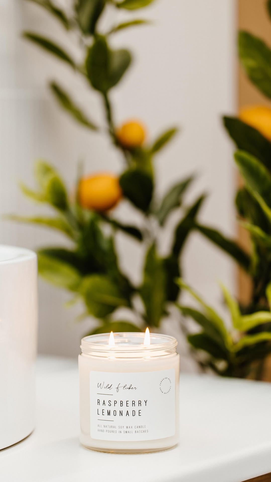 Post 3 by WILD FLICKER | Soy Wax Candles & Home Fragrance on Instagram (video)