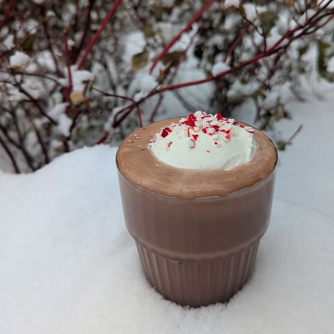 Post 4 by Moo Shu Ice Cream & Kitchen on Instagram (image)