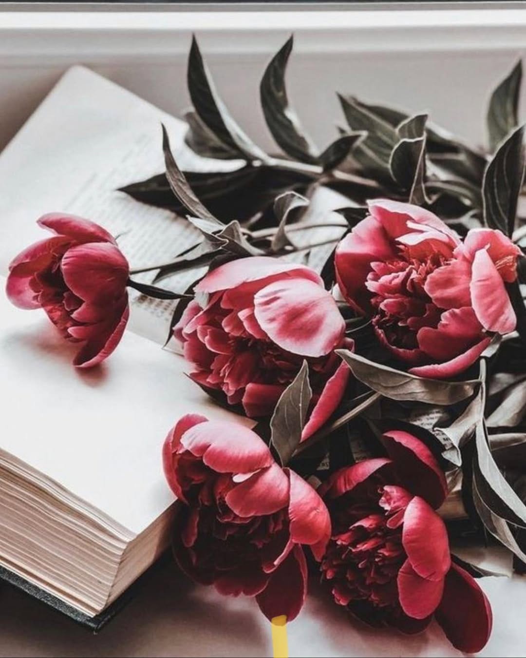 Post 10 by RED GOLD London on Instagram (image)