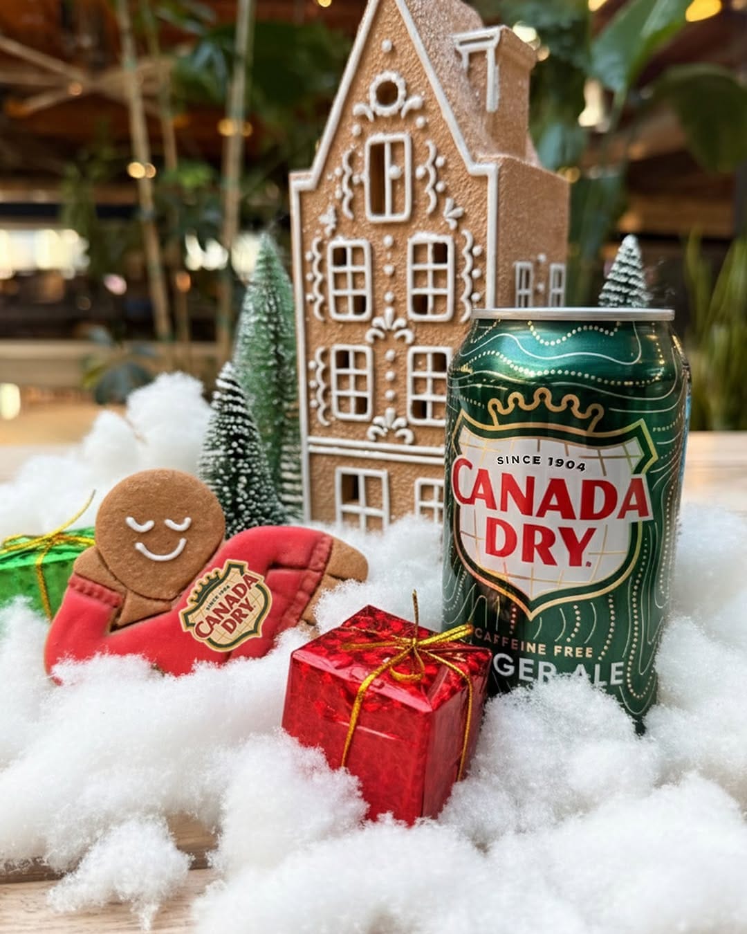 Post 5 by Canada Dry on Instagram (carousel)