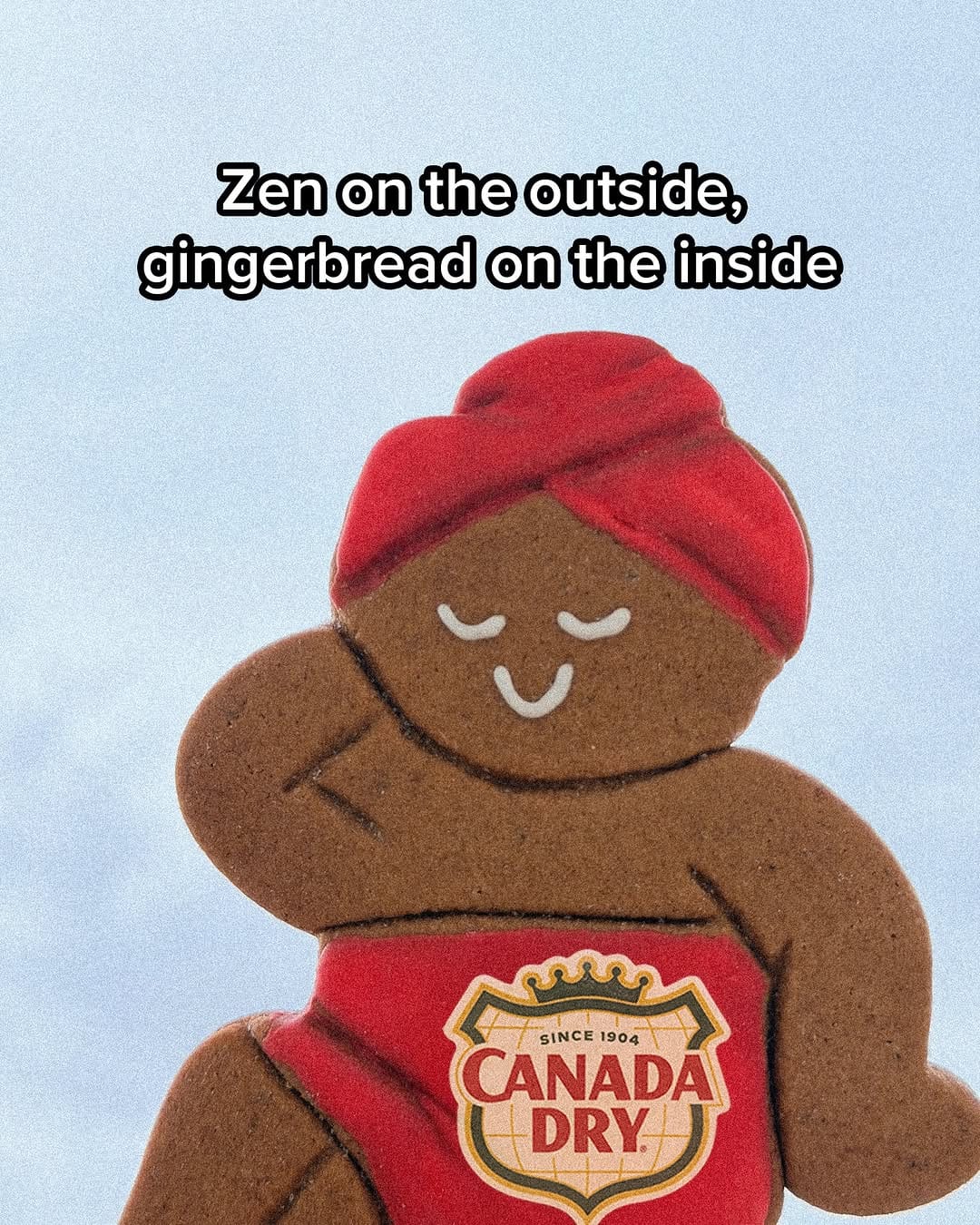 Post 7 by Canada Dry on Instagram (image)