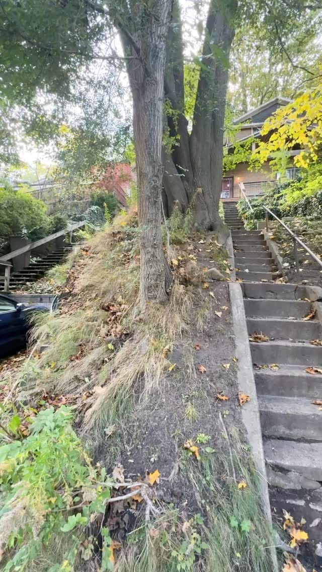 Post 7 by THE APARTMENT 🛋 VINTAGE STORE on Instagram (video)