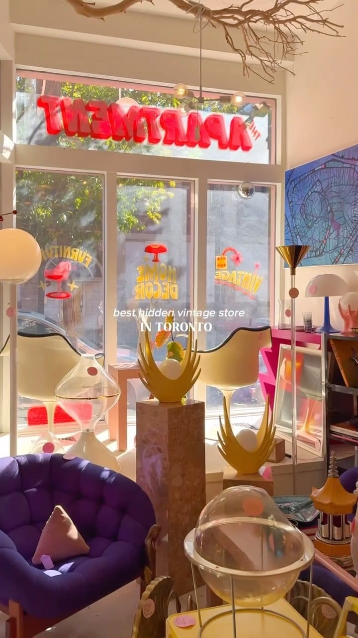 Post 9 by THE APARTMENT 🛋 VINTAGE STORE on Instagram (video)