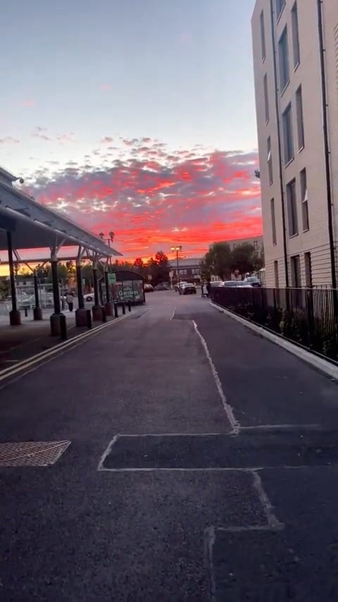 Post 5 by Million 🐾 on Instagram (video)