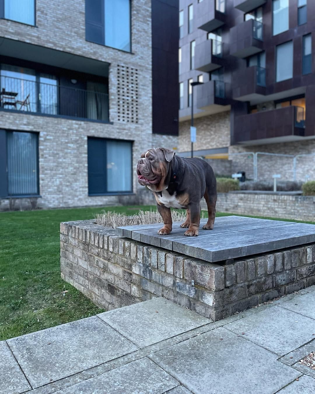 Post 7 by Million 🐾 on Instagram (image)
