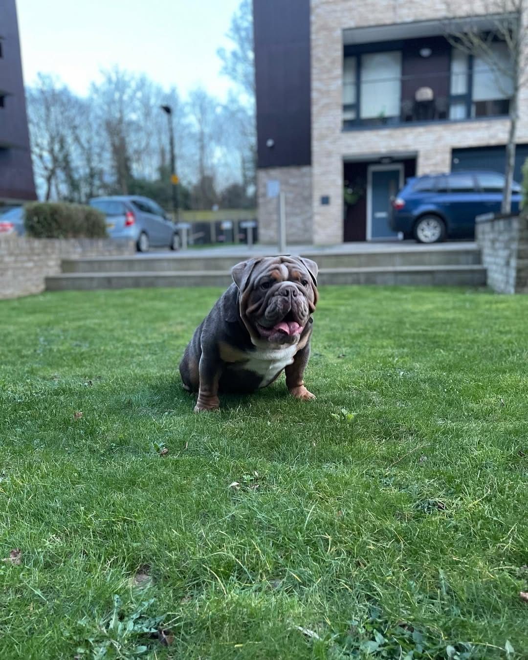 Post 8 by Million 🐾 on Instagram (image)