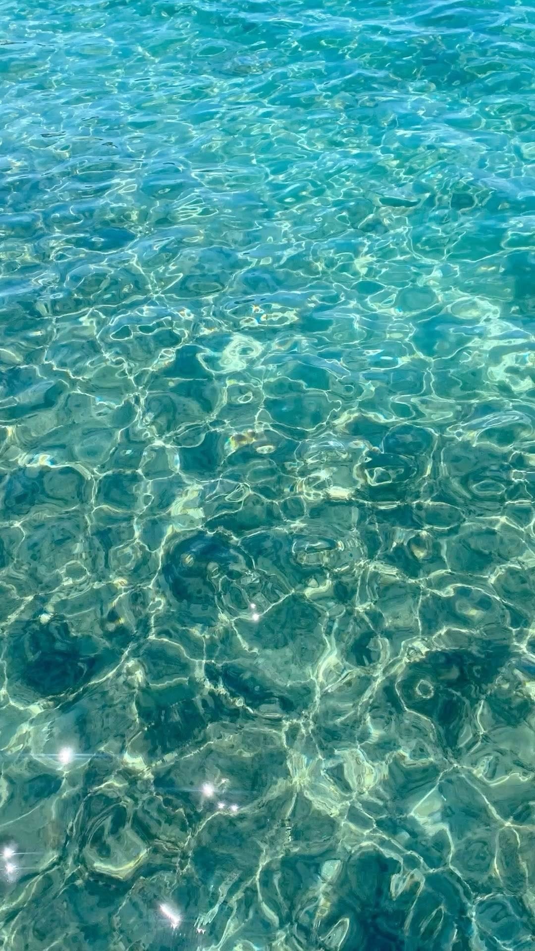Post 6 by NOSTALGIA SWIMWEAR on Instagram (video)