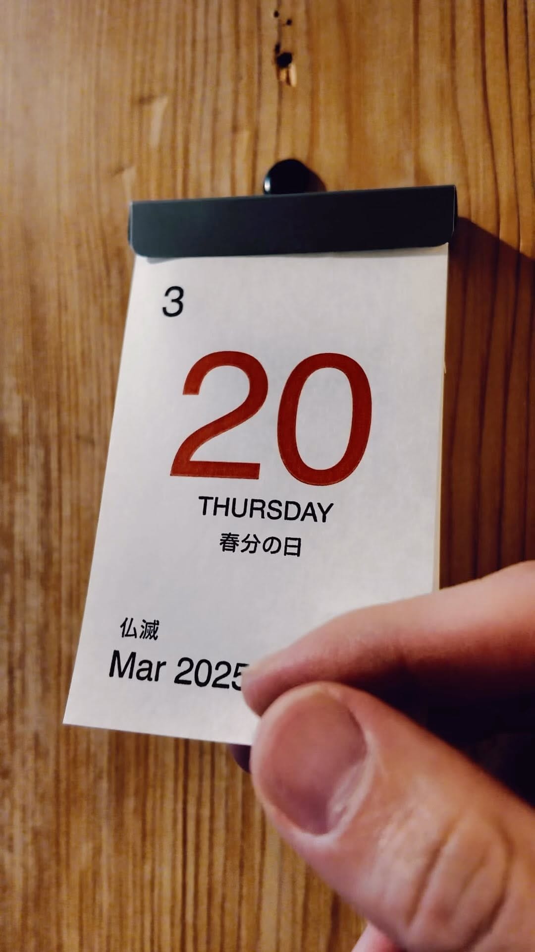 Post 8 by cafe march 21 on Instagram (video)
