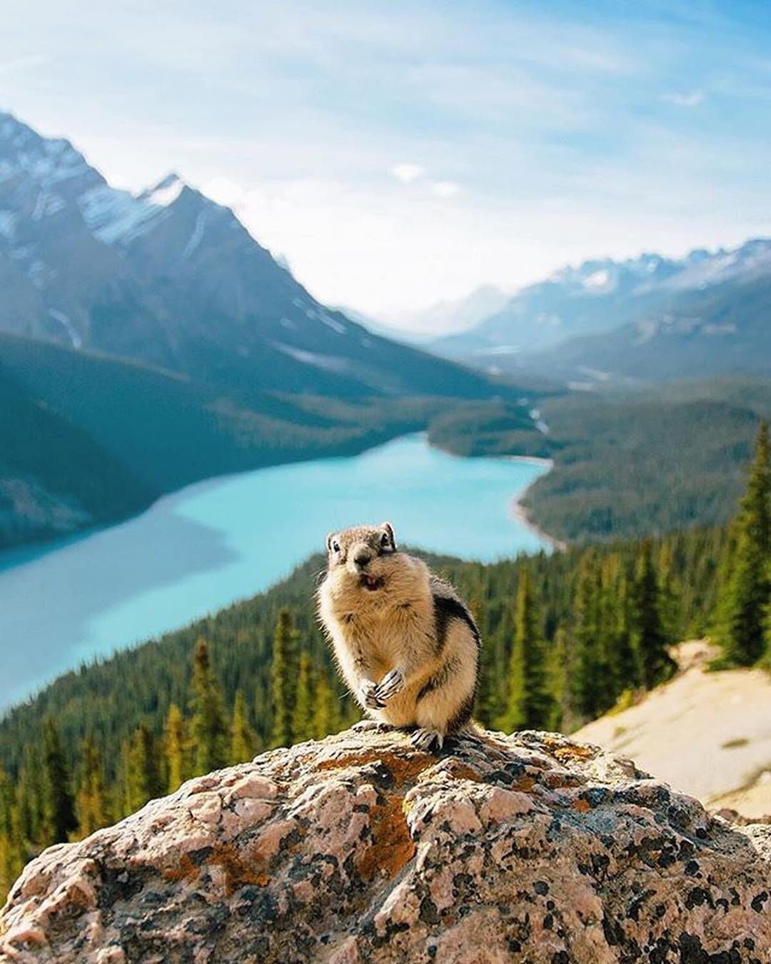 Post 10 by INSTAGRAM №1 CANADA 2024 🇨🇦 on Instagram (image)