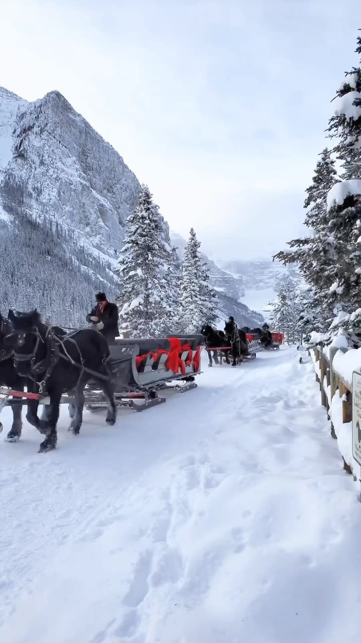 Post 1 by INSTAGRAM №1 CANADA 2024 🇨🇦 on Instagram (video)