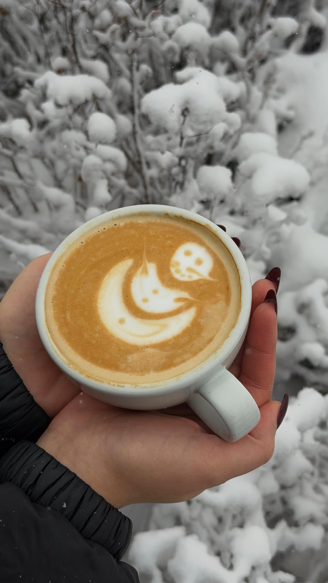 Post 6 by Transcend Coffee & Roastery on Instagram (video)