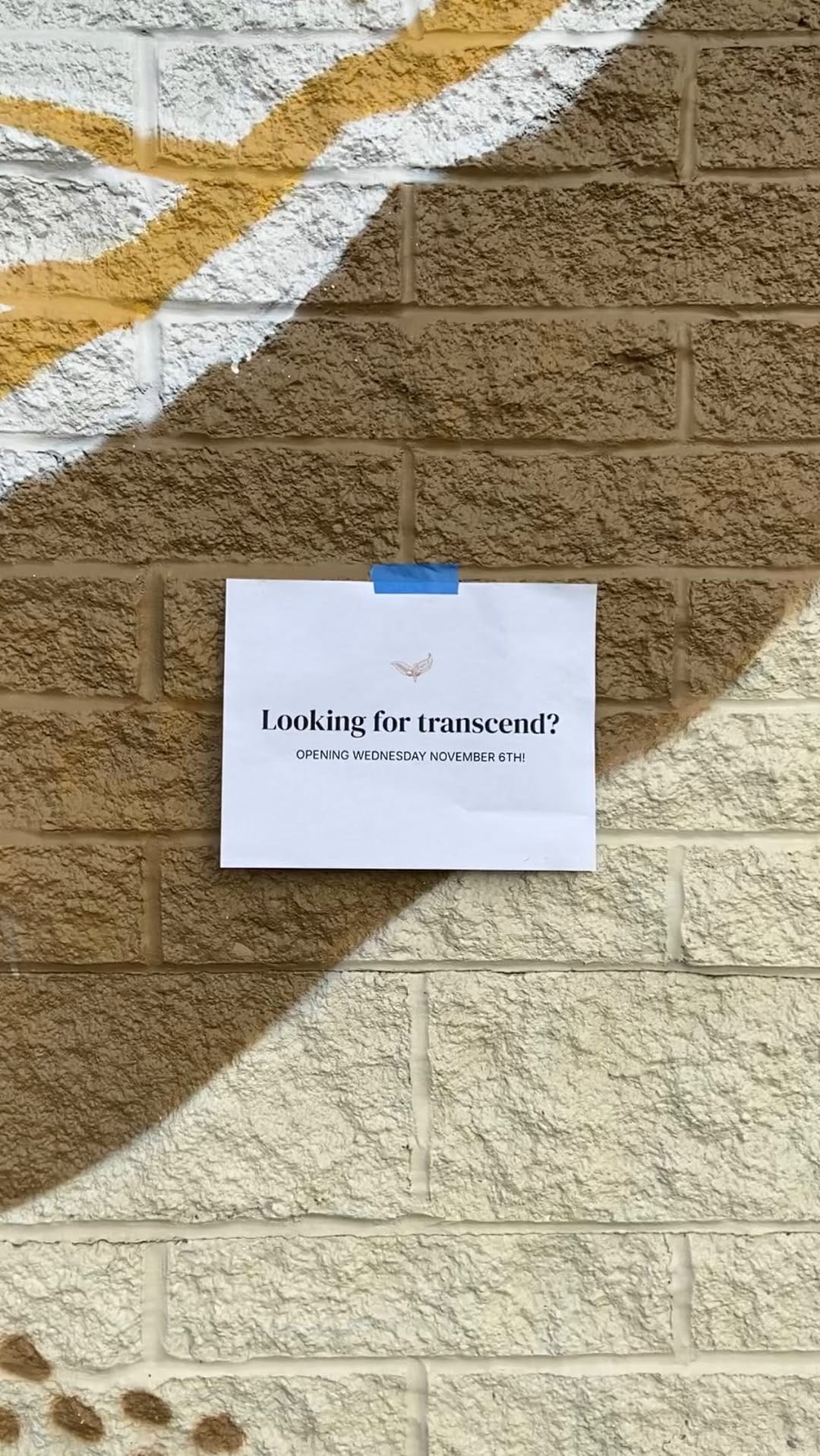 Post 10 by Transcend Coffee & Roastery on Instagram (video)