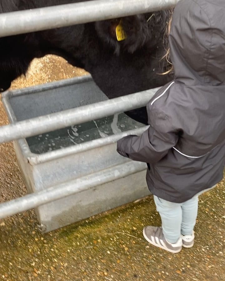Post 6 by Dr Erika Tajra 👩🏻‍⚕️ on Instagram (carousel)
