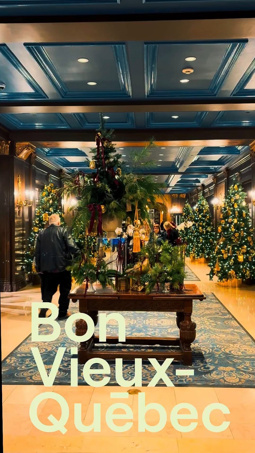 Post 6 by Bon Vieux-Québec on Instagram (video)