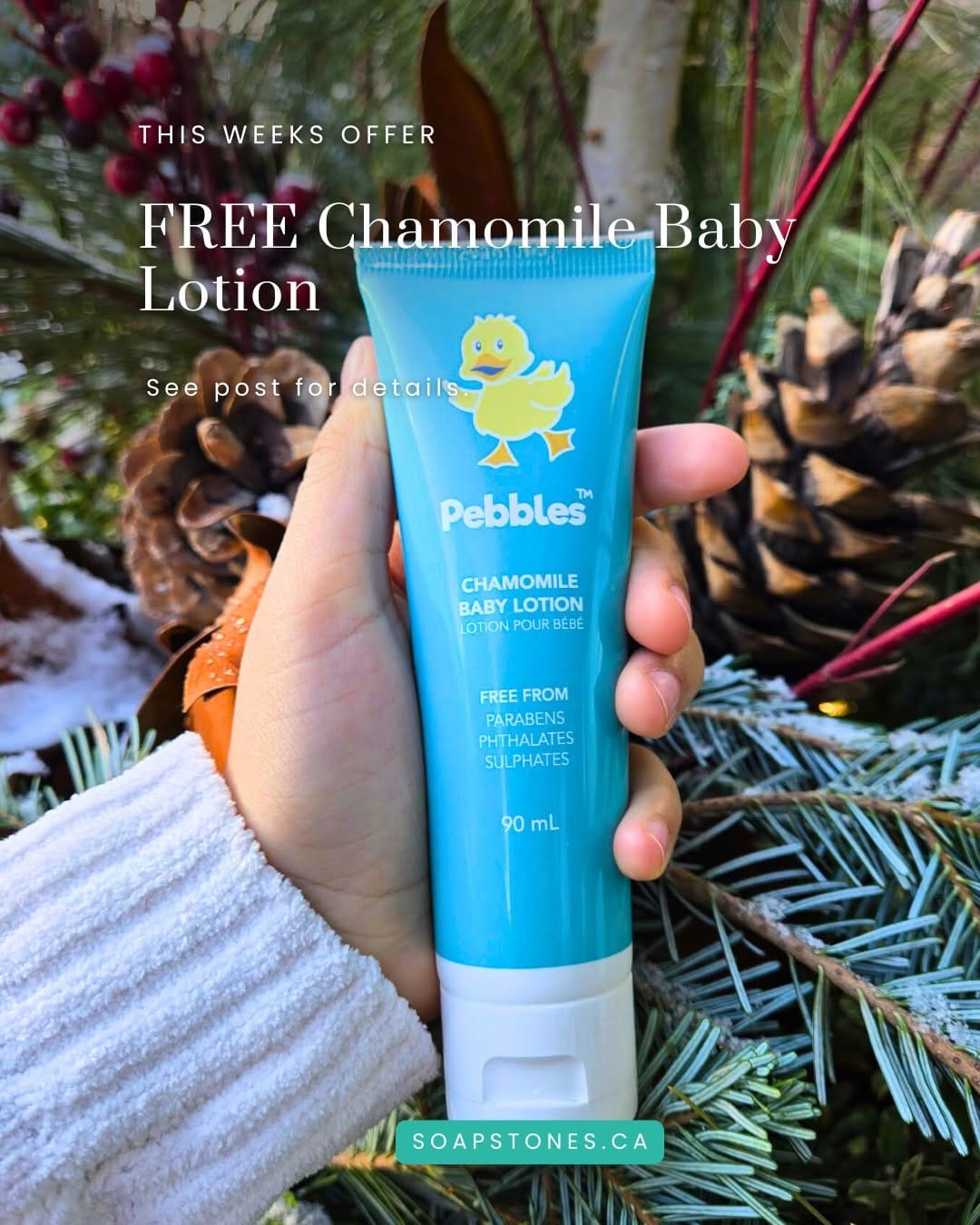 Post 10 by Soapstones Natural Skincare on Instagram (image)