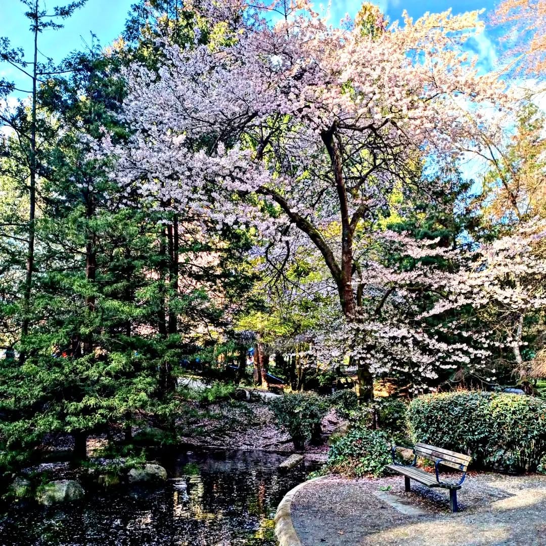 Post 10 by ⒷⓊⓀⒺⓉ on Instagram (image)