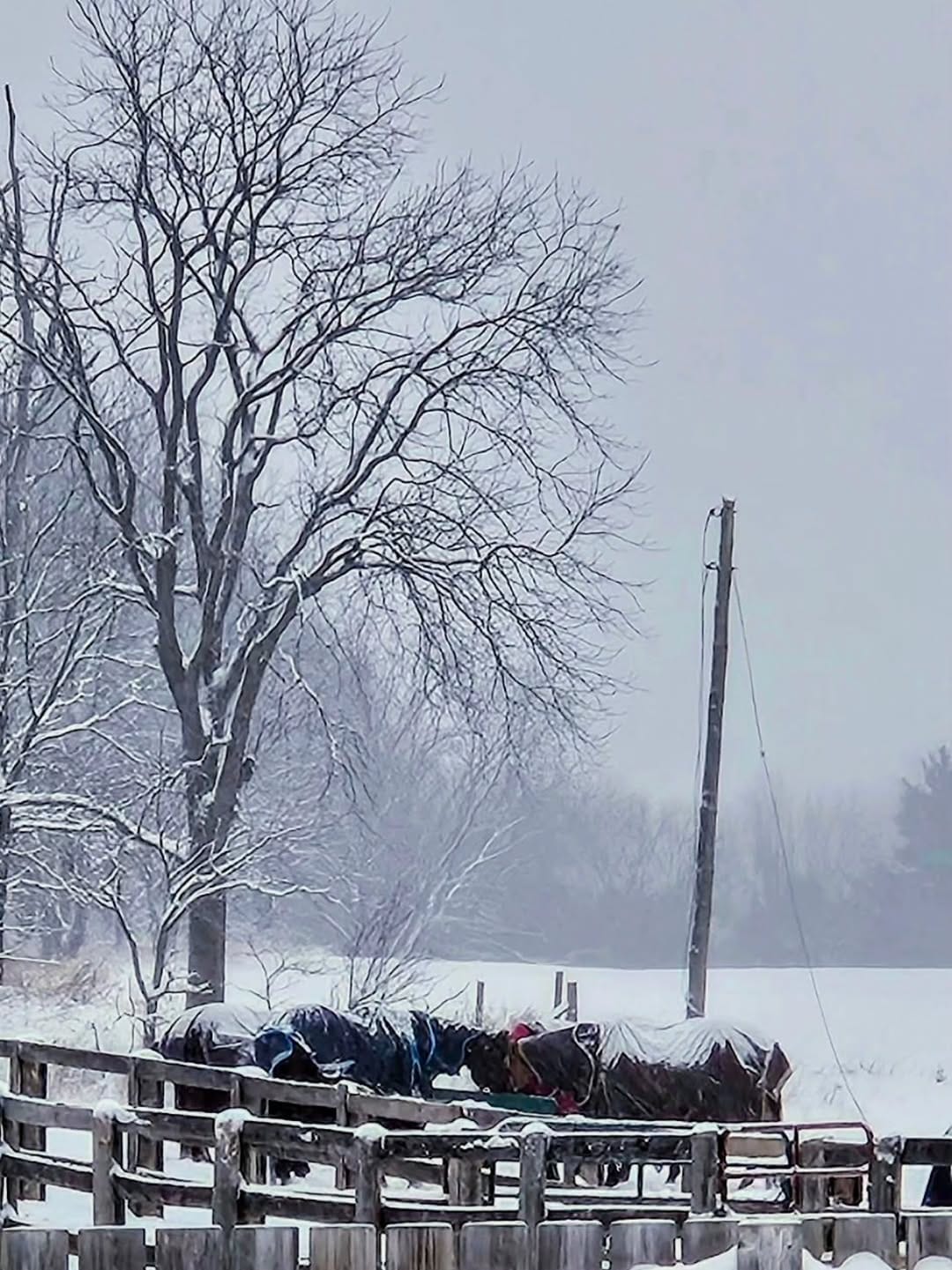 Post 4 by Pleasant Ridge on Instagram (image)