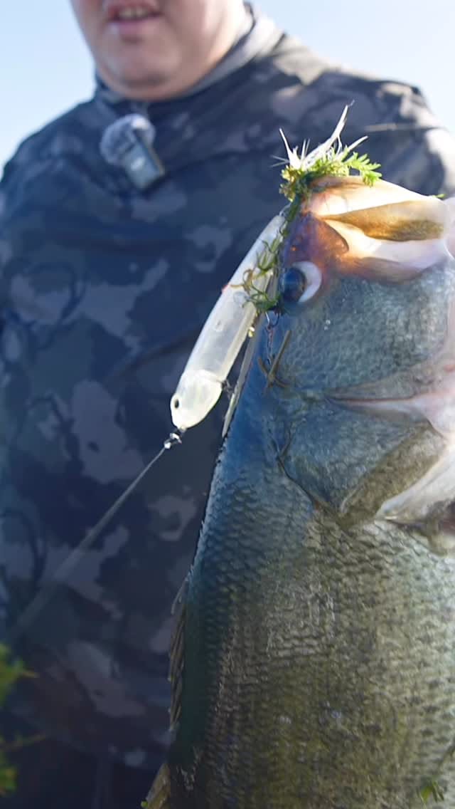Post 9 by Tackle Bros on Instagram (video)