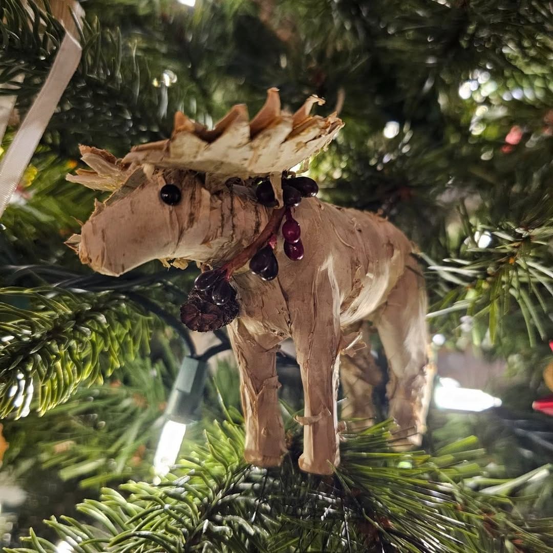 Post 4 by Chilly Moose on Instagram (image)
