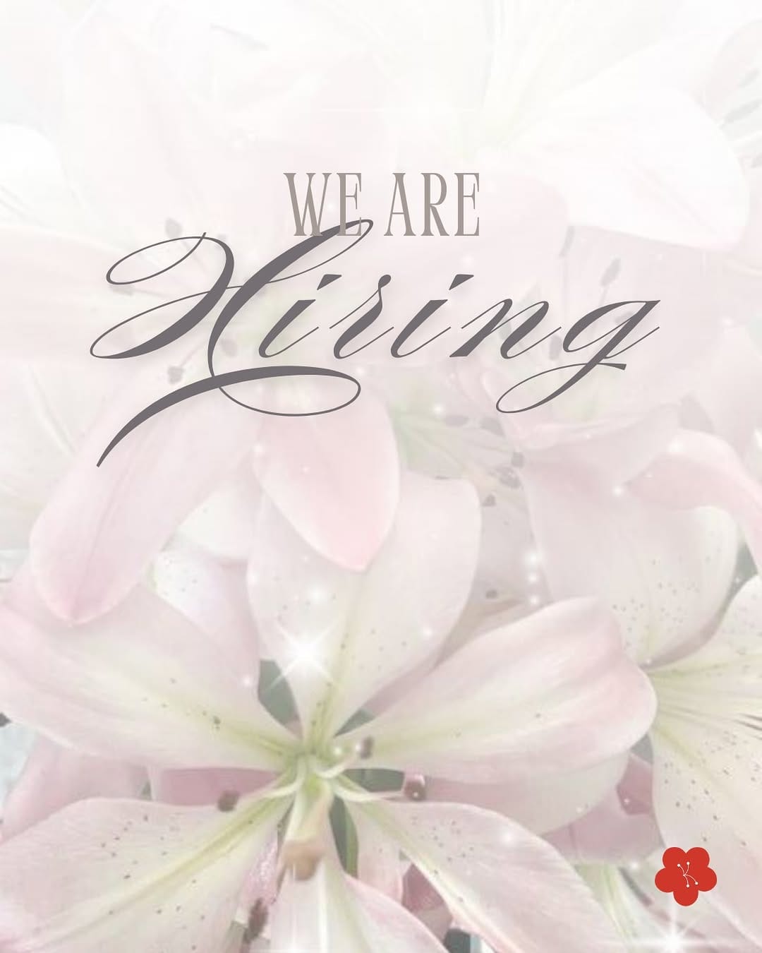 Post 8 by 𝒏𝒊𝒄𝒐𝒍𝒆 °❀.ೃ࿔* on Instagram (image)