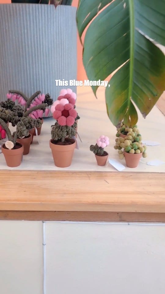 Post 1 by Flock Boutique Ottawa on Instagram (video)