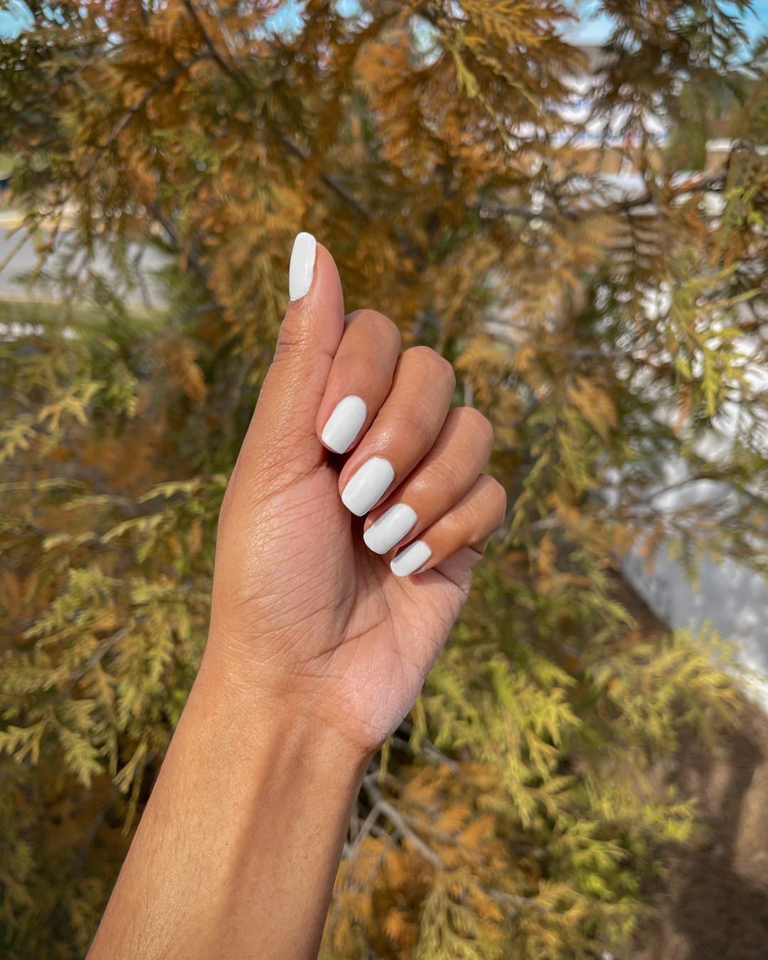 Post 8 by SensatioNail on Instagram (image)