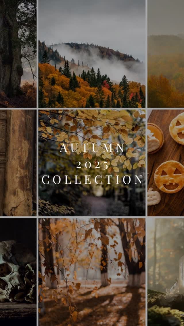 Post 8 by Library Lights Candle Co. | Bookish Candles on Instagram (video)
