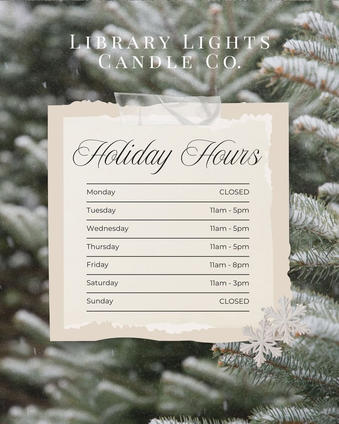 Post 5 by Library Lights Candle Co. | Bookish Candles on Instagram (image)