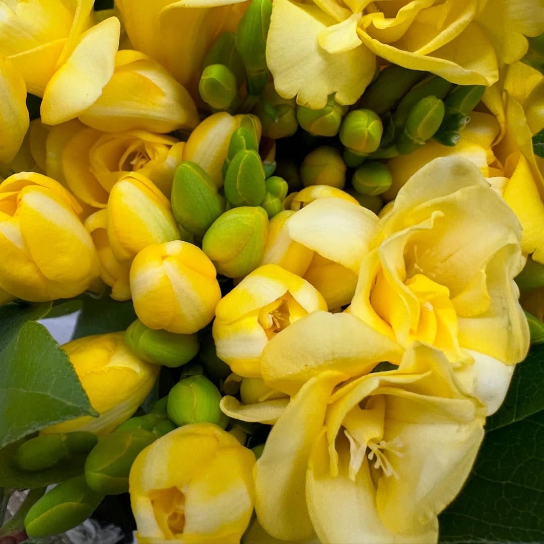 Post 10 by Sweetpea's Floral Studio on Instagram (carousel)