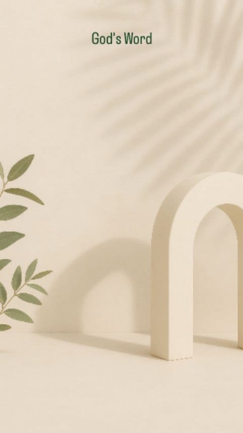 Post 4 by Oleenaorganics | Natural Hair & Skincare products on Instagram (video)