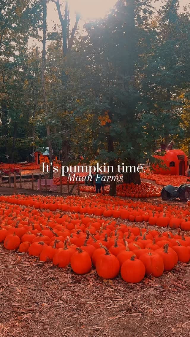 Post 2 by S T E P H ♕ V A N C O U V E R on Instagram (video)