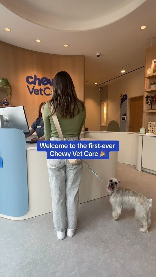 Post 10 by Chewy on Instagram (video)