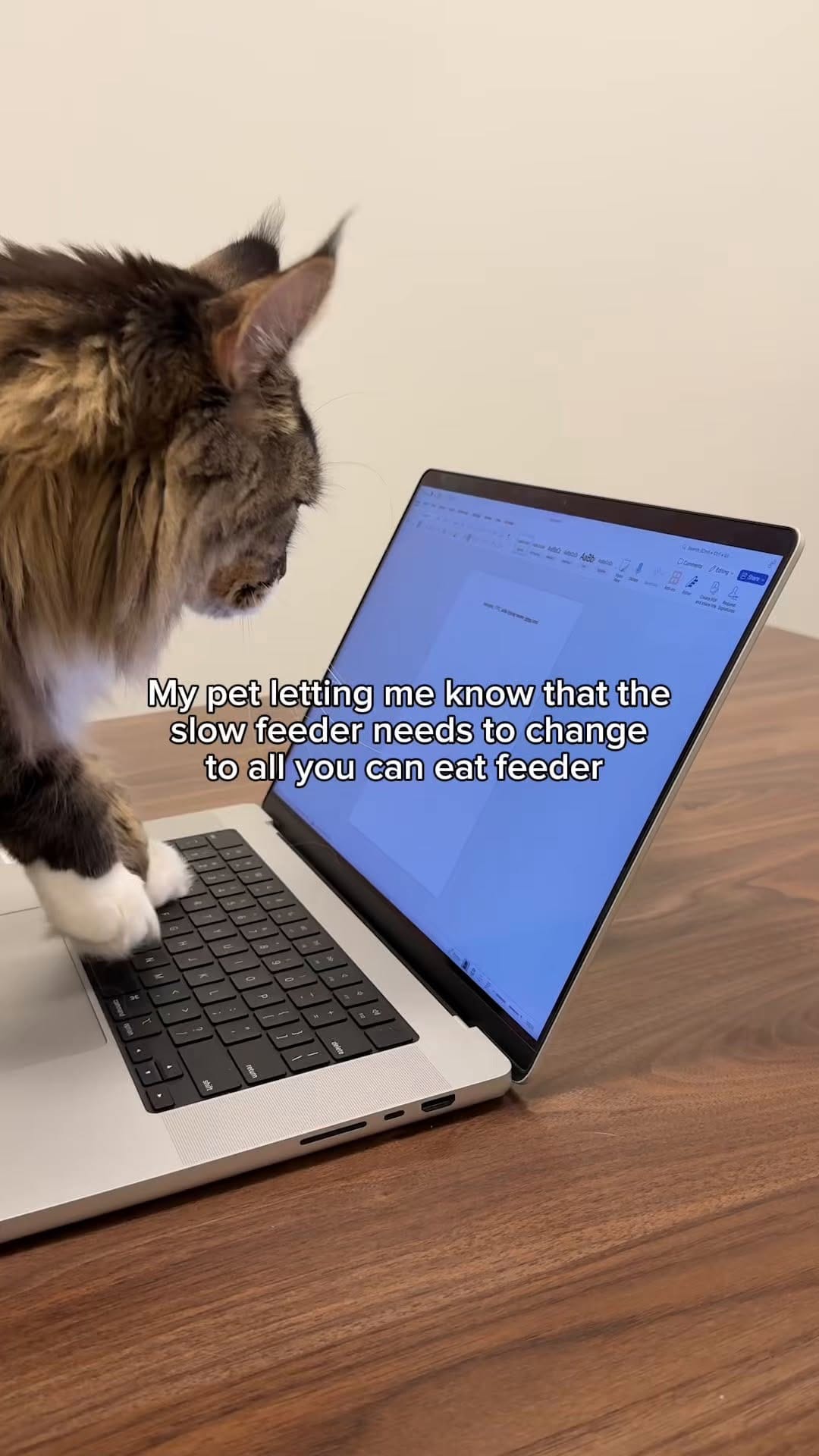 Post 9 by Chewy on Instagram (video)