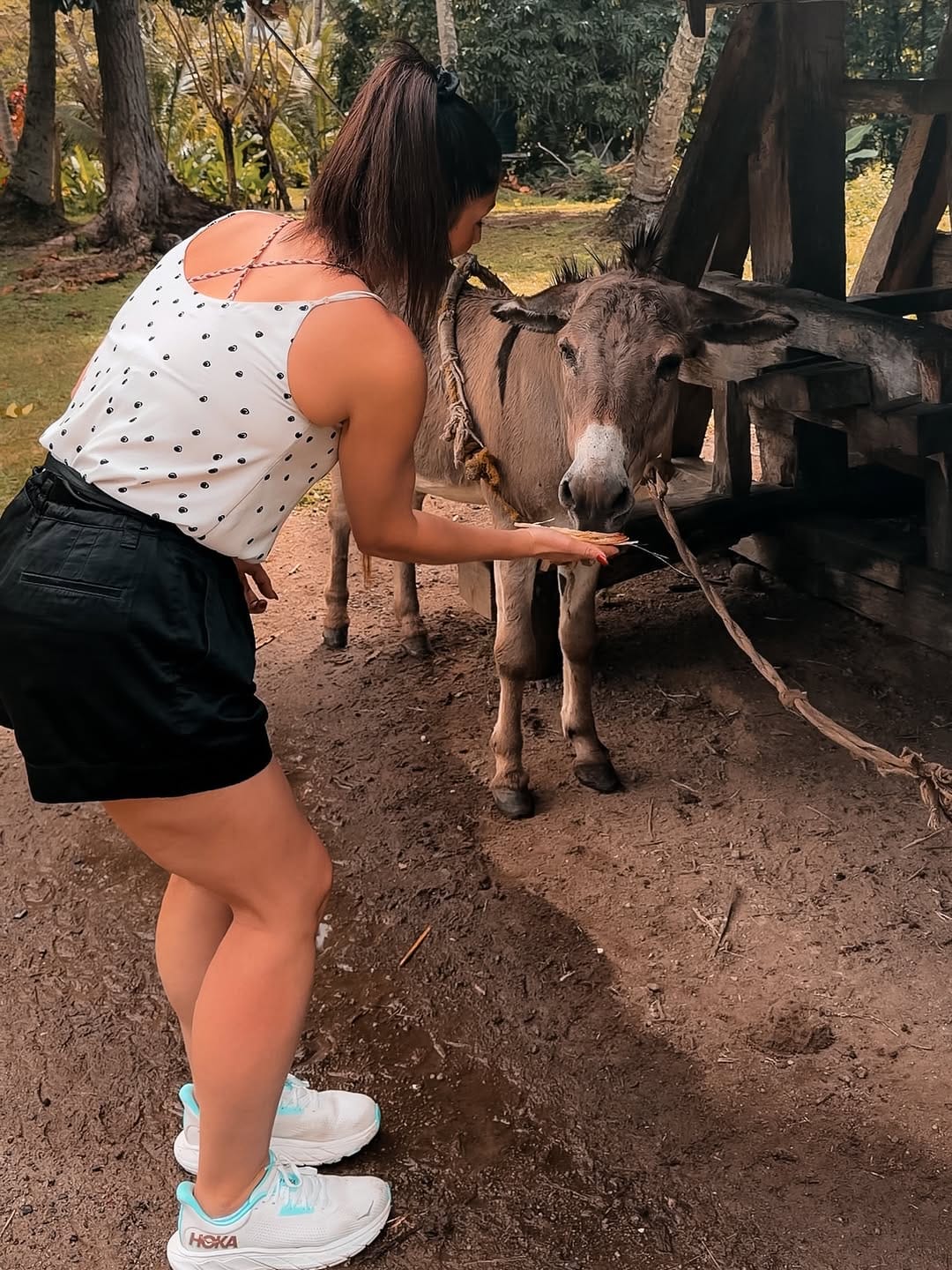 Post 2 by Kate Carter Hickey on Instagram (image)