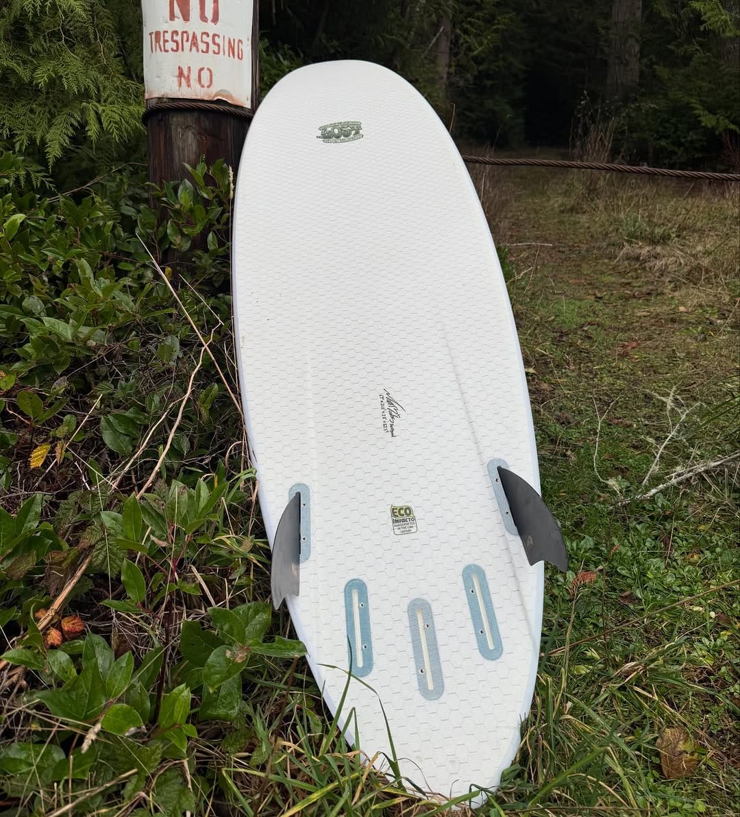 Post 8 by Lib Tech Surf on Instagram (image)